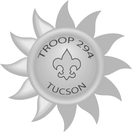 Troop 294 logo